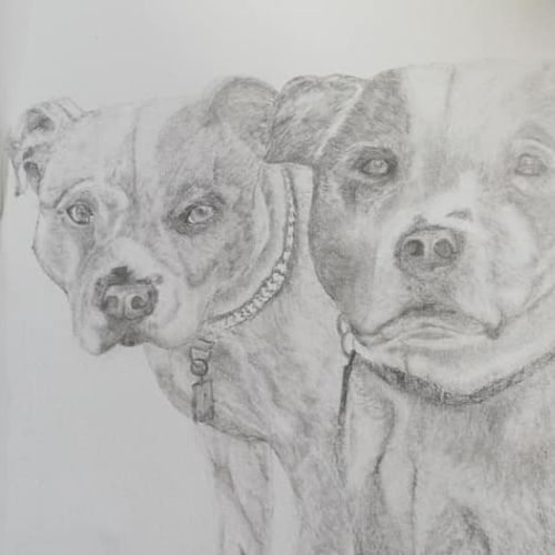 Spirit of Tenterden Festival 2026