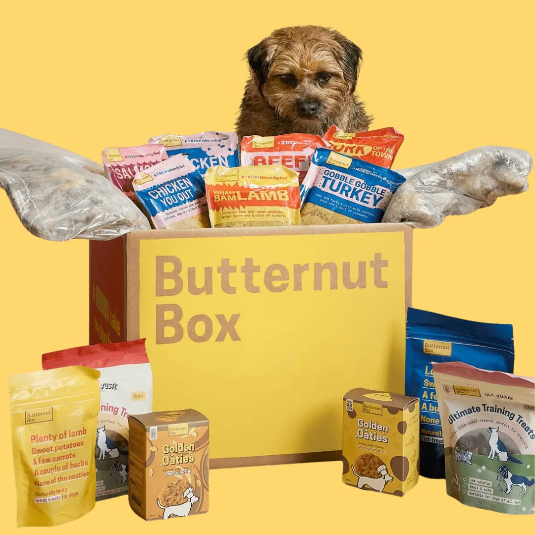 Spirit of Tenterden Festival 2026