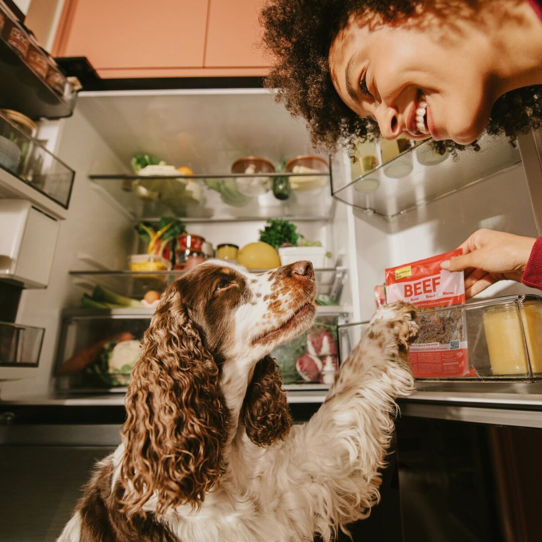 Spirit of Tenterden Festival 2026