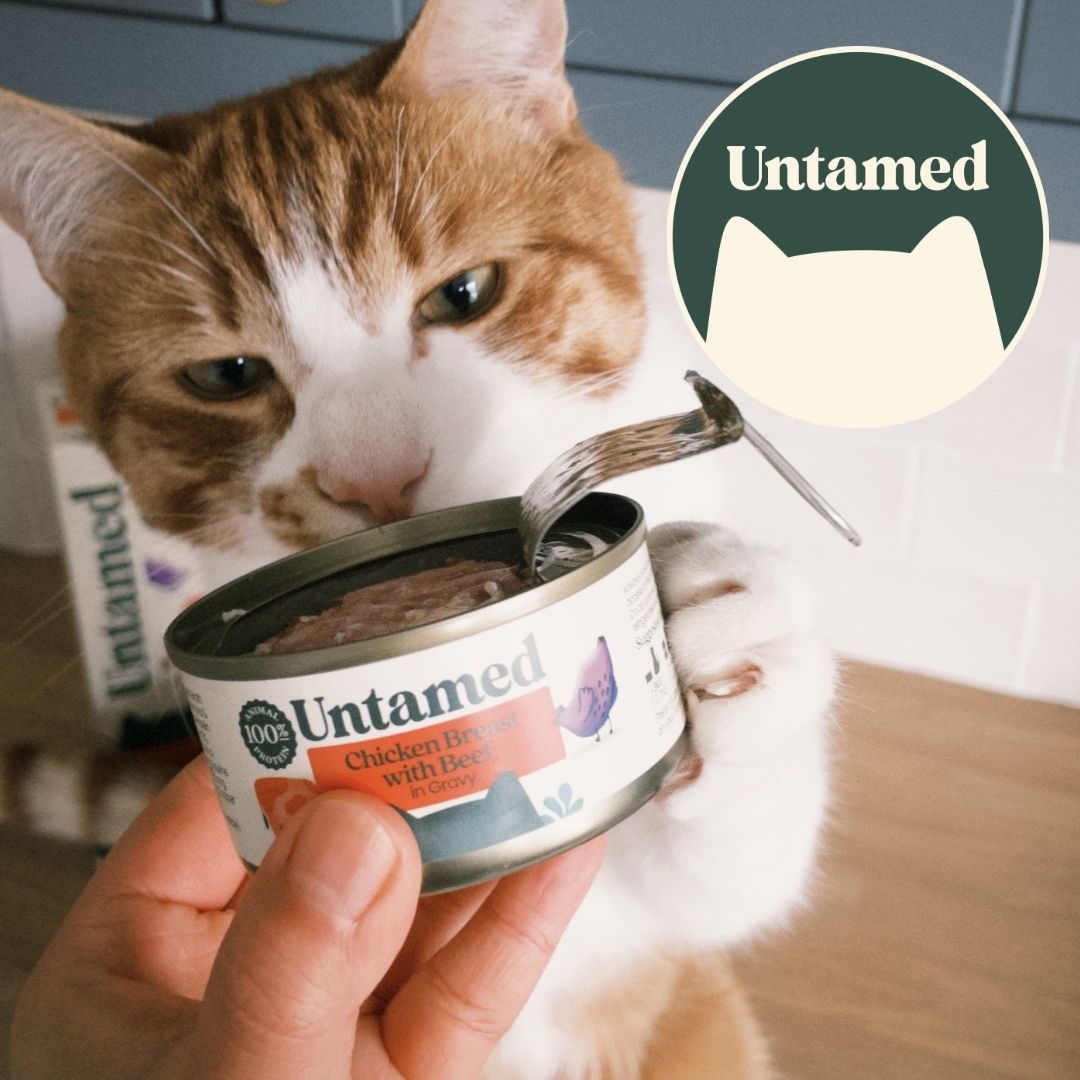 Spirit of Tenterden Festival 2026