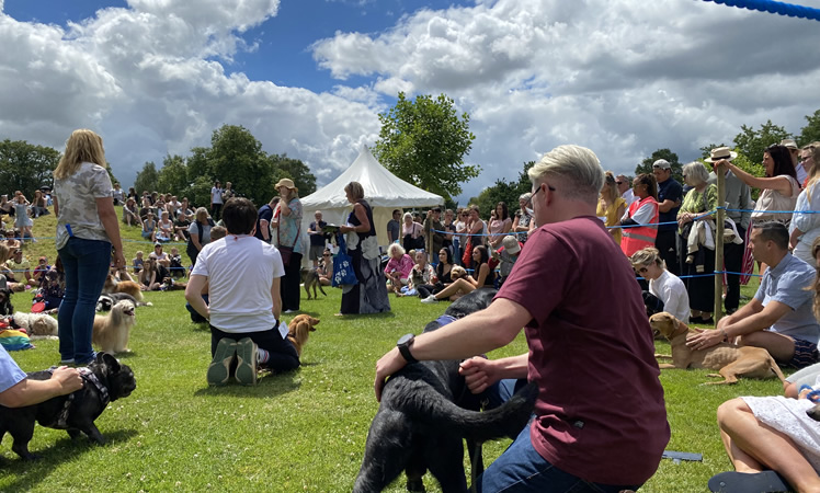 Spirit of Tenterden Festival