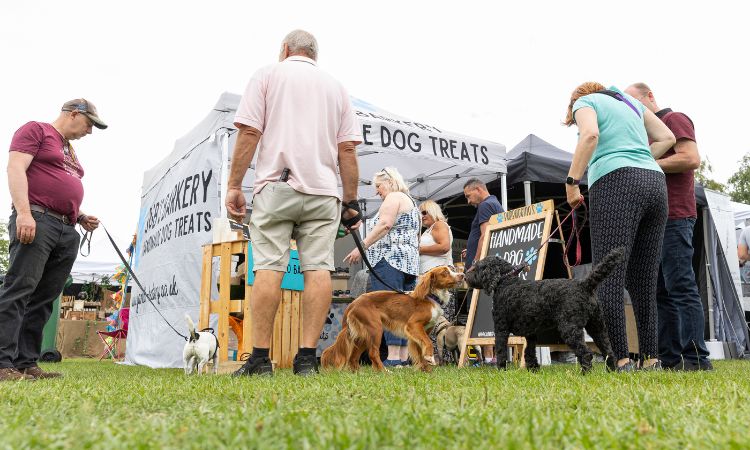 Spirit of Tenterden Festival