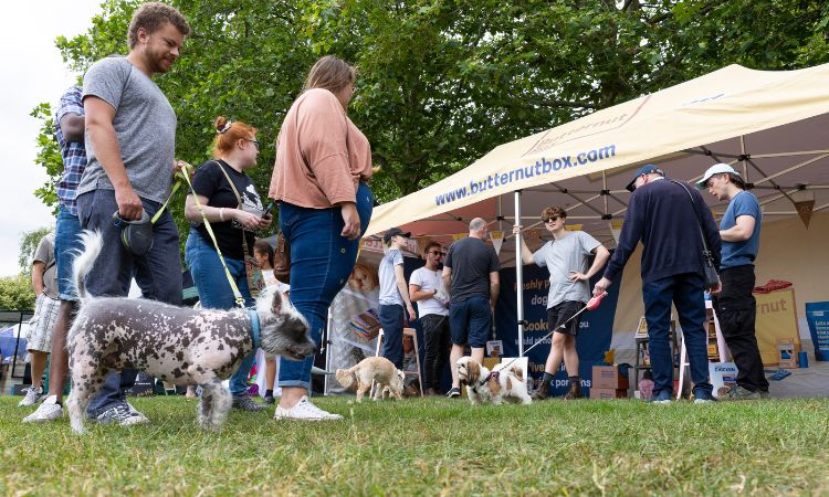 Spirit of Tenterden Festival